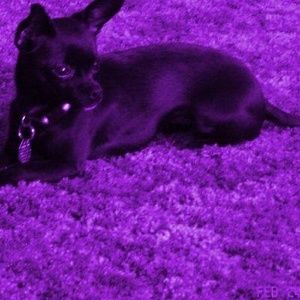 Meet your Posher, Debra